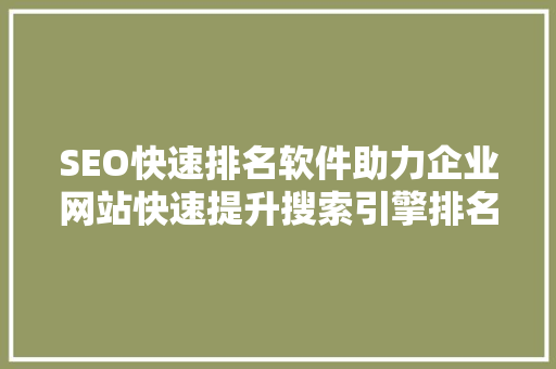 SEO快速排名软件助力企业网站快速提升搜索引擎排名的利器  第1张
