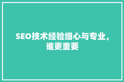 SEO技术经验细心与专业，谁更重要  第1张