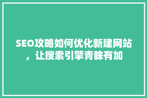 SEO攻略如何优化新建网站，让搜索引擎青睐有加  第1张