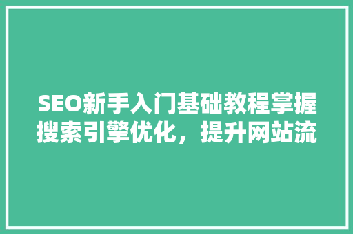 SEO新手入门基础教程掌握搜索引擎优化，提升网站流量与排名