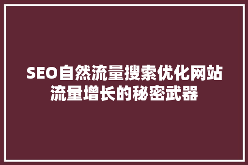 SEO自然流量搜索优化网站流量增长的秘密武器  第1张