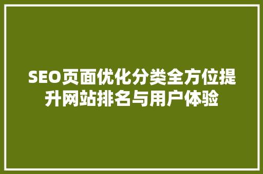 SEO页面优化分类全方位提升网站排名与用户体验