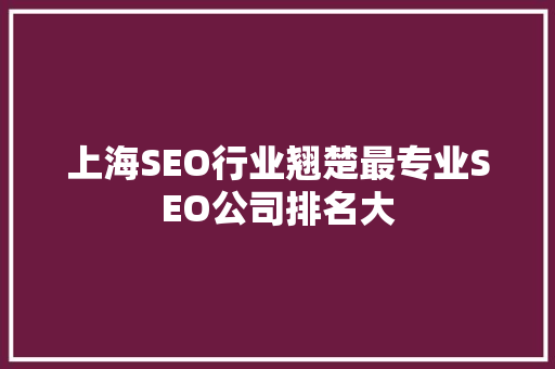 上海SEO行业翘楚最专业SEO公司排名大