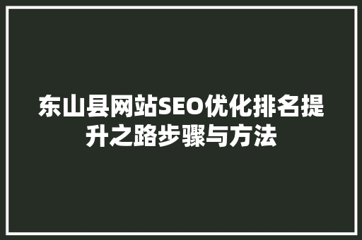东山县网站SEO优化排名提升之路步骤与方法