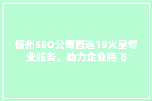 儋州SEO公司首选19火星专业服务，助力企业腾飞