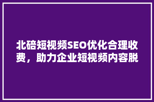 北碚短视频SEO优化合理收费，助力企业短视频内容脱颖而出