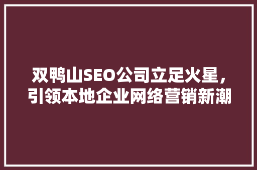 双鸭山SEO公司立足火星，引领本地企业网络营销新潮流