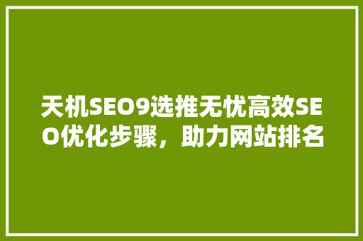 天机SEO9选推无忧高效SEO优化步骤，助力网站排名提升