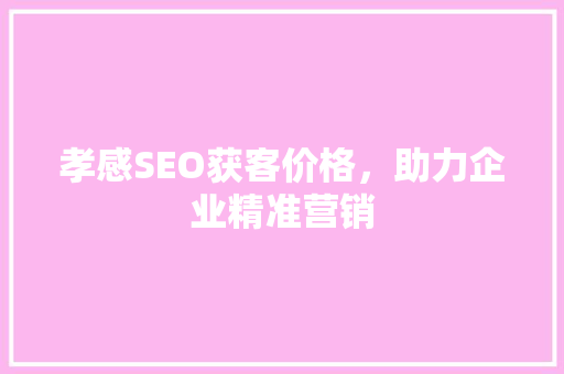 孝感SEO获客价格，助力企业精准营销