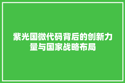 紫光国微代码背后的创新力量与国家战略布局