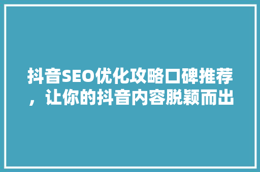 抖音SEO优化攻略口碑推荐，让你的抖音内容脱颖而出