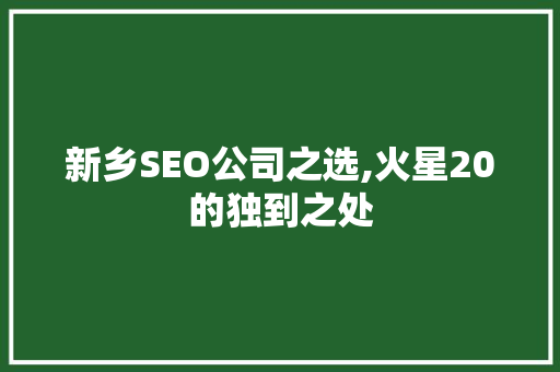 新乡SEO公司之选,火星20的独到之处