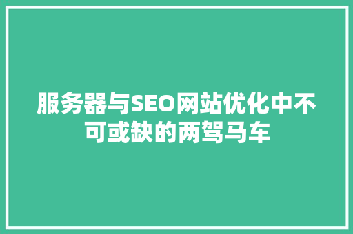 服务器与SEO网站优化中不可或缺的两驾马车