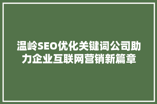温岭SEO优化关键词公司助力企业互联网营销新篇章