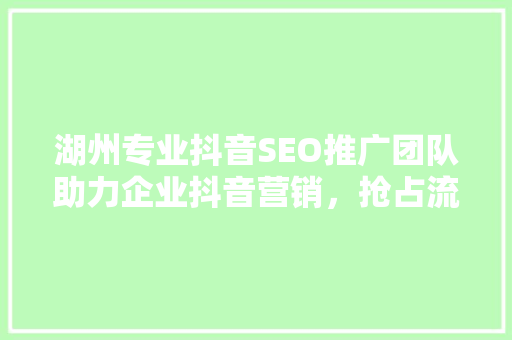 湖州专业抖音SEO推广团队助力企业抖音营销，抢占流量红利