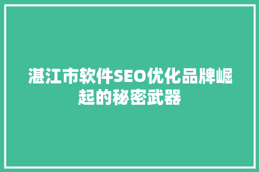 湛江市软件SEO优化品牌崛起的秘密武器