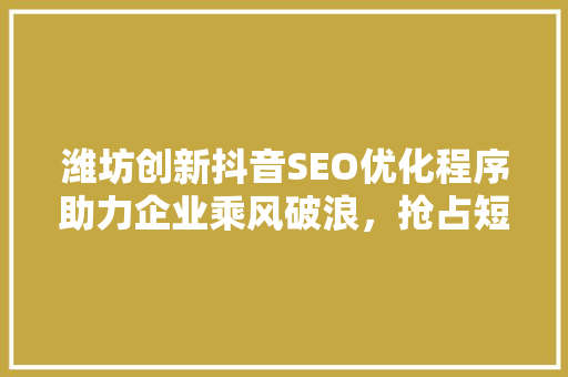 潍坊创新抖音SEO优化程序助力企业乘风破浪，抢占短视频流量高地  第1张