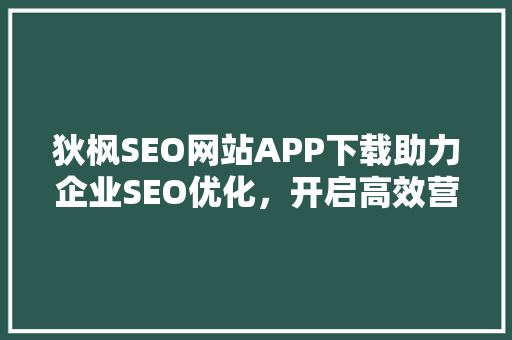 狄枫SEO网站APP下载助力企业SEO优化，开启高效营销新篇章