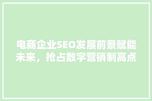 电商企业SEO发展前景赋能未来，抢占数字营销制高点