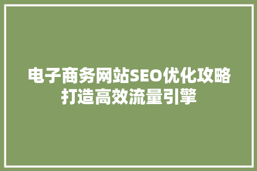 电子商务网站SEO优化攻略打造高效流量引擎