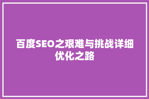 百度SEO之艰难与挑战详细优化之路