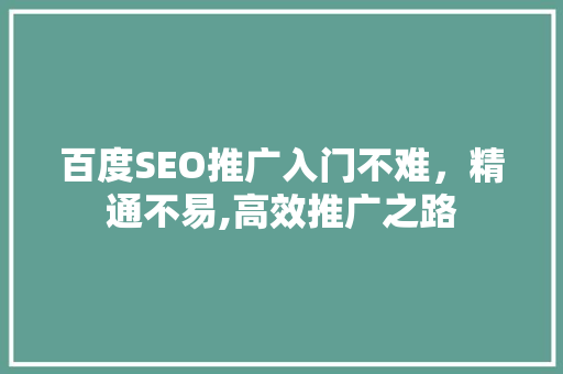 百度SEO推广入门不难，精通不易,高效推广之路