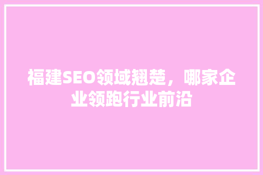 福建SEO领域翘楚，哪家企业领跑行业前沿