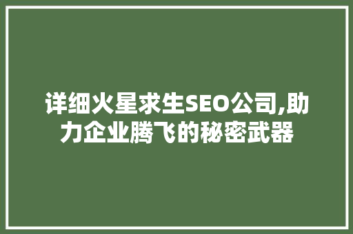 详细火星求生SEO公司,助力企业腾飞的秘密武器