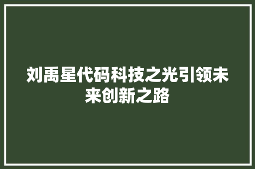 刘禹星代码科技之光引领未来创新之路