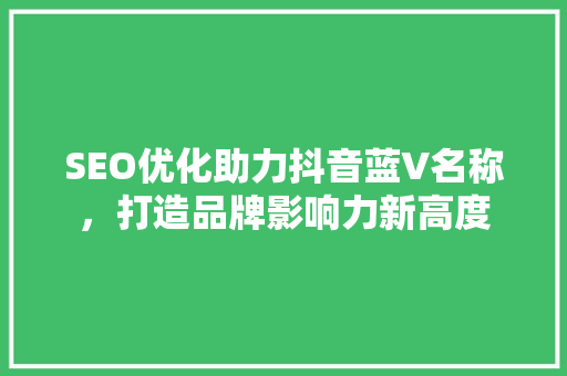 SEO优化助力抖音蓝V名称，打造品牌影响力新高度