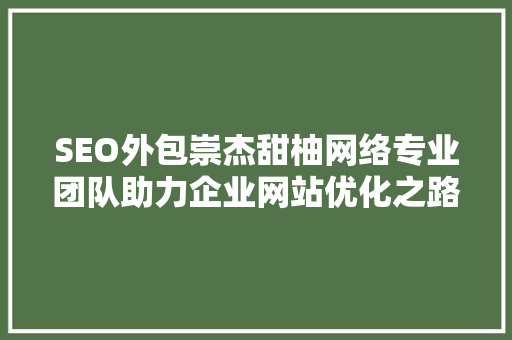 SEO外包崇杰甜柚网络专业团队助力企业网站优化之路