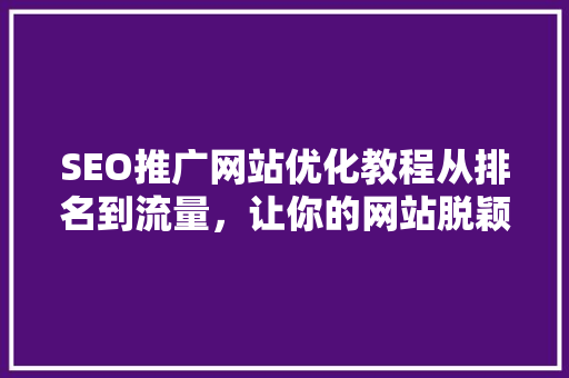 SEO推广网站优化教程从排名到流量，让你的网站脱颖而出