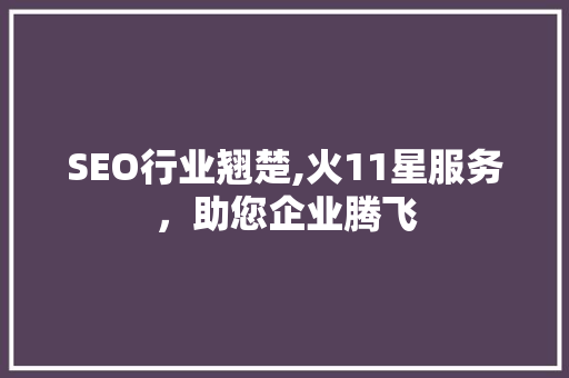 SEO行业翘楚,火11星服务，助您企业腾飞