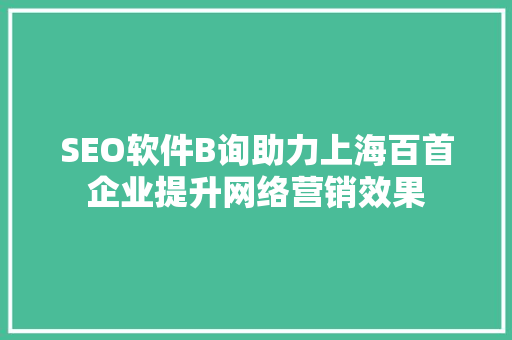 SEO软件B询助力上海百首企业提升网络营销效果