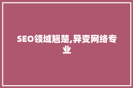 SEO领域翘楚,异变网络专业