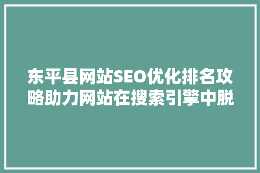 东平县网站SEO优化排名攻略助力网站在搜索引擎中脱颖而出
