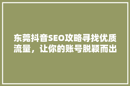 东莞抖音SEO攻略寻找优质流量，让你的账号脱颖而出
