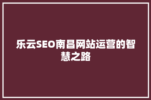 乐云SEO南昌网站运营的智慧之路