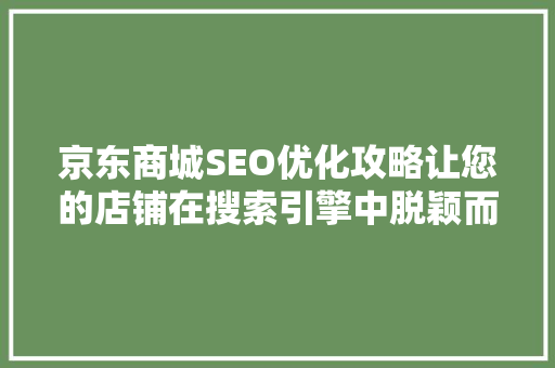 京东商城SEO优化攻略让您的店铺在搜索引擎中脱颖而出
