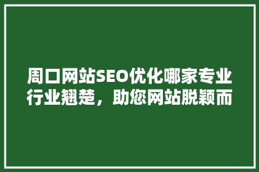 周口网站SEO优化哪家专业行业翘楚，助您网站脱颖而出