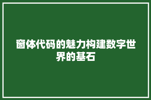 窗体代码的魅力构建数字世界的基石