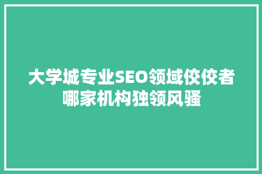 大学城专业SEO领域佼佼者哪家机构独领风骚