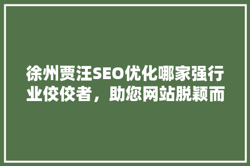 徐州贾汪SEO优化哪家强行业佼佼者，助您网站脱颖而出