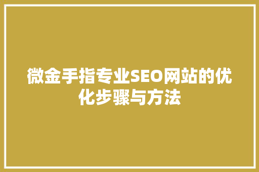 微金手指专业SEO网站的优化步骤与方法