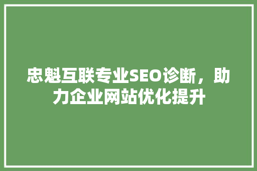 忠魁互联专业SEO诊断，助力企业网站优化提升