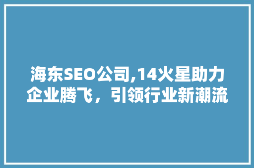 海东SEO公司,14火星助力企业腾飞，引领行业新潮流