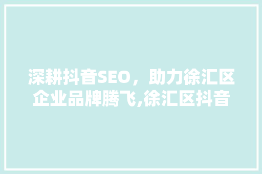 深耕抖音SEO，助力徐汇区企业品牌腾飞,徐汇区抖音SEO服务之路
