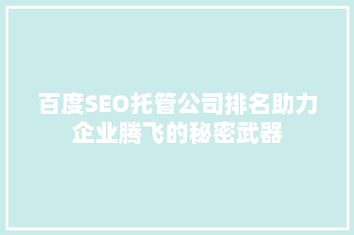 百度SEO托管公司排名助力企业腾飞的秘密武器