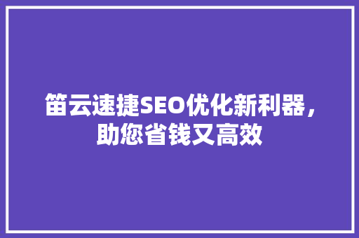 笛云速捷SEO优化新利器，助您省钱又高效