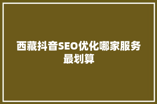 西藏抖音SEO优化哪家服务最划算